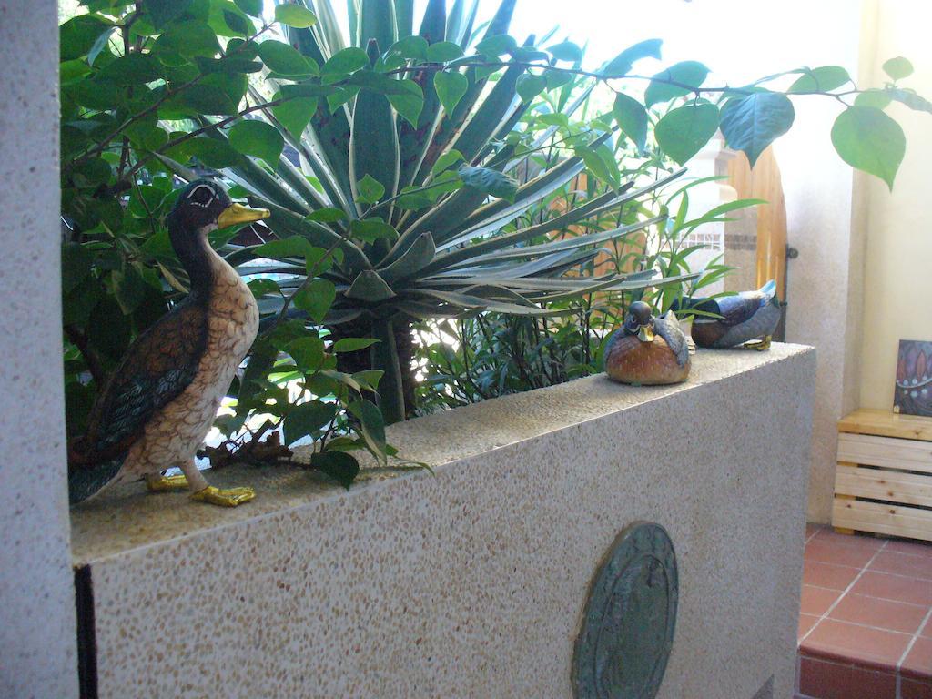 Alongs Garden Hengchun Old Town Exterior foto